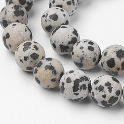 Natural Dalmatian Jasper Bead Strands&nbsp;G-G735-68F-12mm