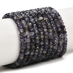 Natural Iolite Beads Strands&nbsp;G-P612-A02-01