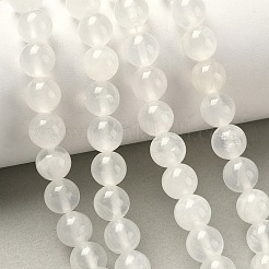 Natural Selenite Beads Strands&nbsp;G-N328-025B-01