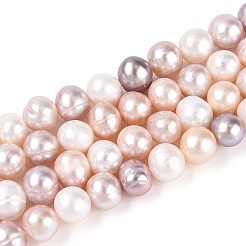 Natural Cultured Freshwater Pearl Beads Strands&nbsp;PEAR-T006-26