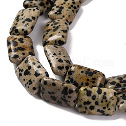 Natural Dalmatian Jasper Beads Strands&nbsp;G-T047-B16-01