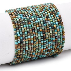 Natural African Turquoise(Jasper) Beads Strands&nbsp;G-K366-G01-2mm