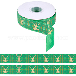 1 Roll Polyester Ribbons&nbsp;SRIB-CY0001-30