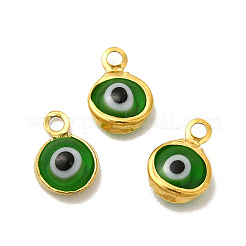 Ion Plating(IP) 304 Stainless Steel with Glass Enamel Charms&nbsp;STAS-G305-10G