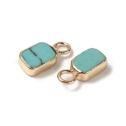 Synthetic Turquoise Rectangle Charms&nbsp;G-Q169-07G-12