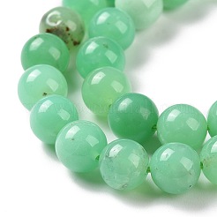 Natural Chrysoprase Beads Strands&nbsp;G-O166-03-8mm
