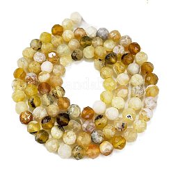 Natural Yellow Opal Beads Strands&nbsp;G-L597-C05-02