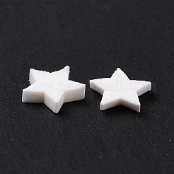 Handmade Polymer Clay Cabochons&nbsp;CLAY-A002-01F