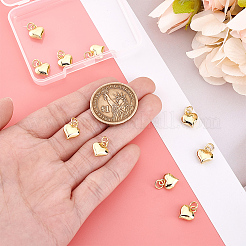 10Pcs Rack Plating Brass Pendants&nbsp;KK-PH0013-16