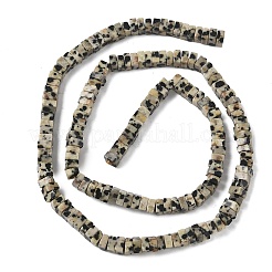 Natural Dalmatian Jasper Beads Strands&nbsp;G-A280-C07-01