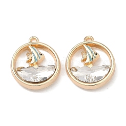 Alloy Glass Pendants&nbsp;FIND-B061-05G-B
