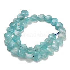 Natural Amazonite Beads Strands&nbsp;GG-D001-B01
