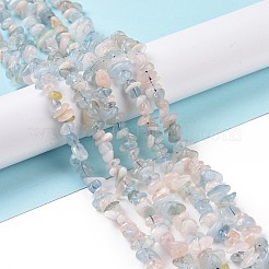 Natural Morganite Chip Beads Strands&nbsp;X-G-E271-84