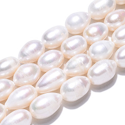 Natural Cultured Freshwater Pearl Beads Strands&nbsp;PEAR-N012-10B