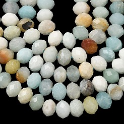 NNatural Flower Amazonite Bead Strands&nbsp;G-D344-A35