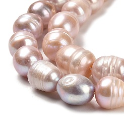 Natural Cultured Freshwater Pearl Beads Strands&nbsp;PEAR-E016-107