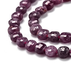 Natural Ruby Beads Strands&nbsp;G-H266-19