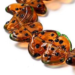 Handmade Lampwork Beads Strands&nbsp;LAMP-I022-29E