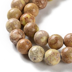 Dyed Natural Regalite/Imperial Jasper/Sea Sediment Jasper Beads Strands&nbsp;G-B124-C01-08