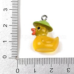 Opaque Resin Pendants&nbsp;FIND-I052-06P