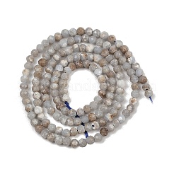 Natural Angelite Beads Strands&nbsp;G-RM2025-A48-B