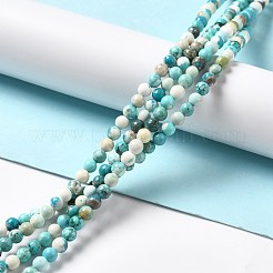 Natural Magnesite Beads Strands&nbsp;G-L555-02A-02