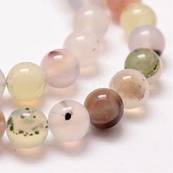 Natural Dendritic Agate Bead Strands&nbsp;G-G880-01-10mm
