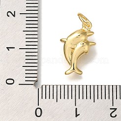 Rack Plating Brass Pendants&nbsp;KK-I720-69G