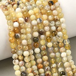 Natural Yellow Opal Beads Strands&nbsp;G-I213-18-4mm