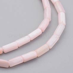 Natural Shell Bead Strands&nbsp;BSHE-P016-02