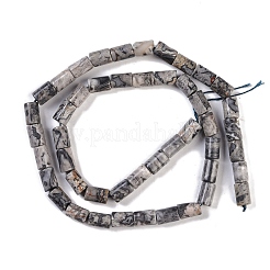 Natural Map Stone Beads Strands&nbsp;G-C128-A04-01
