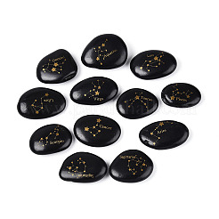 12Pcs Constellations Natural Black Stone Mineral Specimen&nbsp;G-N360-01