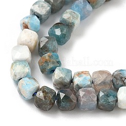 Natural Apatite Beads Strands&nbsp;G-RM250101-L2