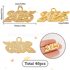 40Pcs High Quality Necklace Alloy Accessories&nbsp;FIND-SC0012-17G
