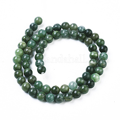 Natural African Jade Beads Strands&nbsp;G-K091-6mm