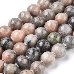 Natural Zebra Jasper Beads Strands&nbsp;G-F676-01