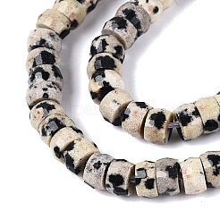 Natural Dalmatian Jasper Beads Strands&nbsp;G-Q606-46A-01