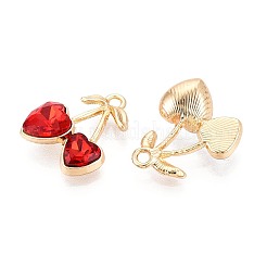 Alloy Rhinestone Pendants&nbsp;PALLOY-T092-24G