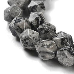 Natural Map Stone Beads Strands&nbsp;G-G030-A02-01