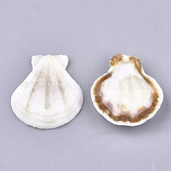 Natural Scallop Shell Beads&nbsp;SSHEL-S258-52