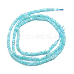 Natural Amazonite Beads Strands&nbsp;G-P457-B01-34