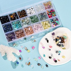 270G 18 Style Natural & Synthetic Gemstone and Shell Chip Beads&nbsp;G-FS0001-25