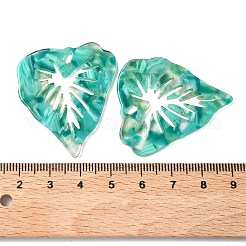 Transparent Cellulose Acetate(Resin) Pendants&nbsp;FIND-C088-05A