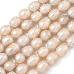 Natural Cultured Freshwater Pearl Beads Strands&nbsp;PEAR-D003-01D-13