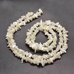 Natural White Mother of Pearl Shell Chip Bead Strands&nbsp;G-M205-63