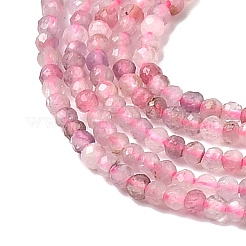 Natural Plum Blossom Tourmaline Beads Strands&nbsp;G-C266-A01-2mm