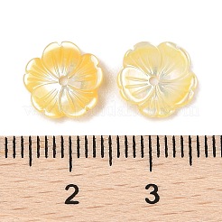 Natural Yellow Shell Carved Beads&nbsp;SSHEL-I026-12A-01