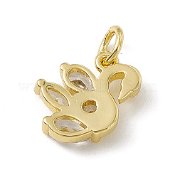 Brass Micro Pave Cubic Zirconia Charms&nbsp;ZIRC-F132-09G