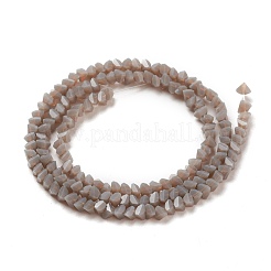 Glass Beads Strands&nbsp;X-GLAA-L031-01-C10