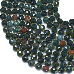 Natural Bloodstone/Heliotrope Stone Beads Strands&nbsp;G-K389-B04-01